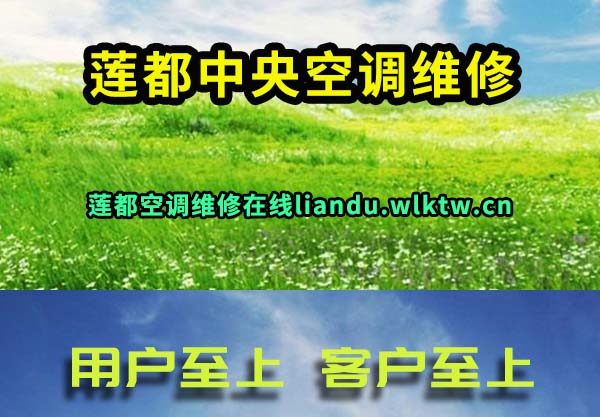 莲都中央空调维修