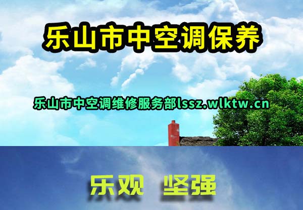 乐山市中空调保养