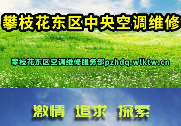 ��֦����������յ�ά��