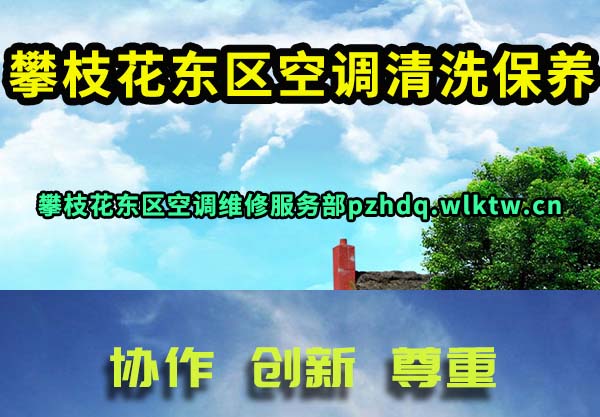 ��֦�������յ���ϴ����